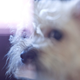 Image for article titled Shooting Challenge Freelensing Gallery 1